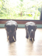 Elephant Carving Teak Wood